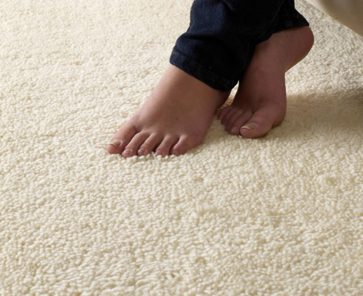 Carpet, Residential & Commercial Flooring in Auckland