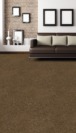 Polyester Carpet flooring in Auckland, NZ